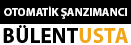 Şanzımancı Bülent Usta